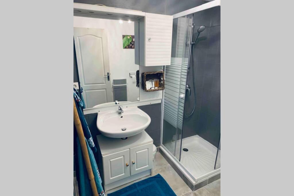 Petit 2P au coeur des montagnes avec spa Puget-Théniers Extérieur photo
