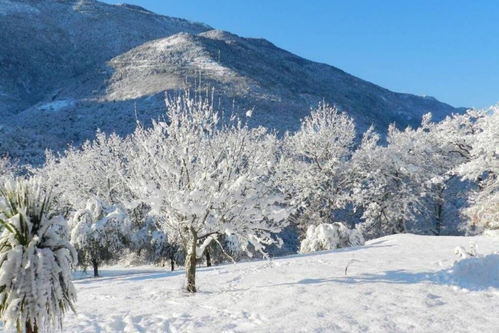 Petit 2P au coeur des montagnes avec spa Puget-Théniers Extérieur photo
