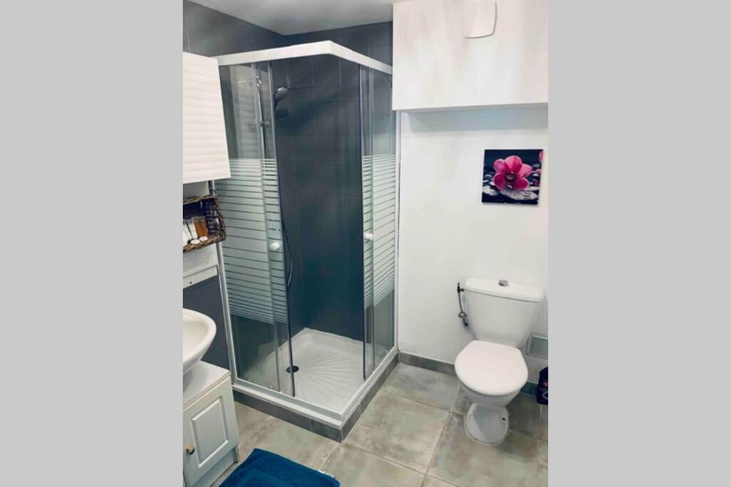 Petit 2P au coeur des montagnes avec spa Puget-Théniers Extérieur photo